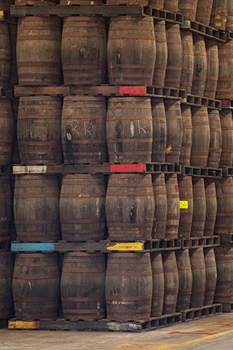bacardí