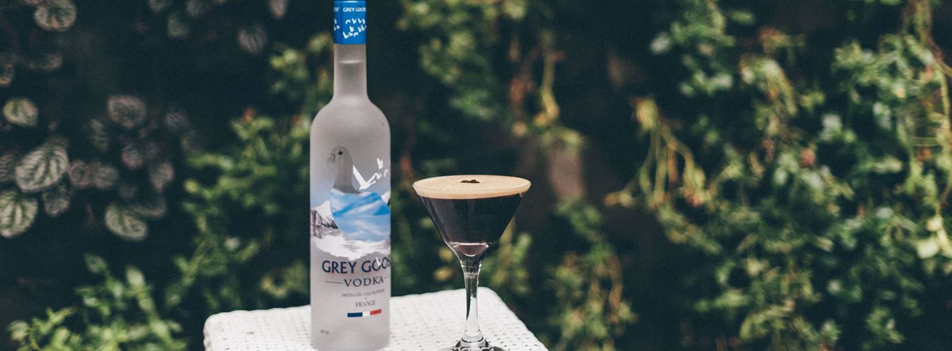 grey_goose_04 grey goose